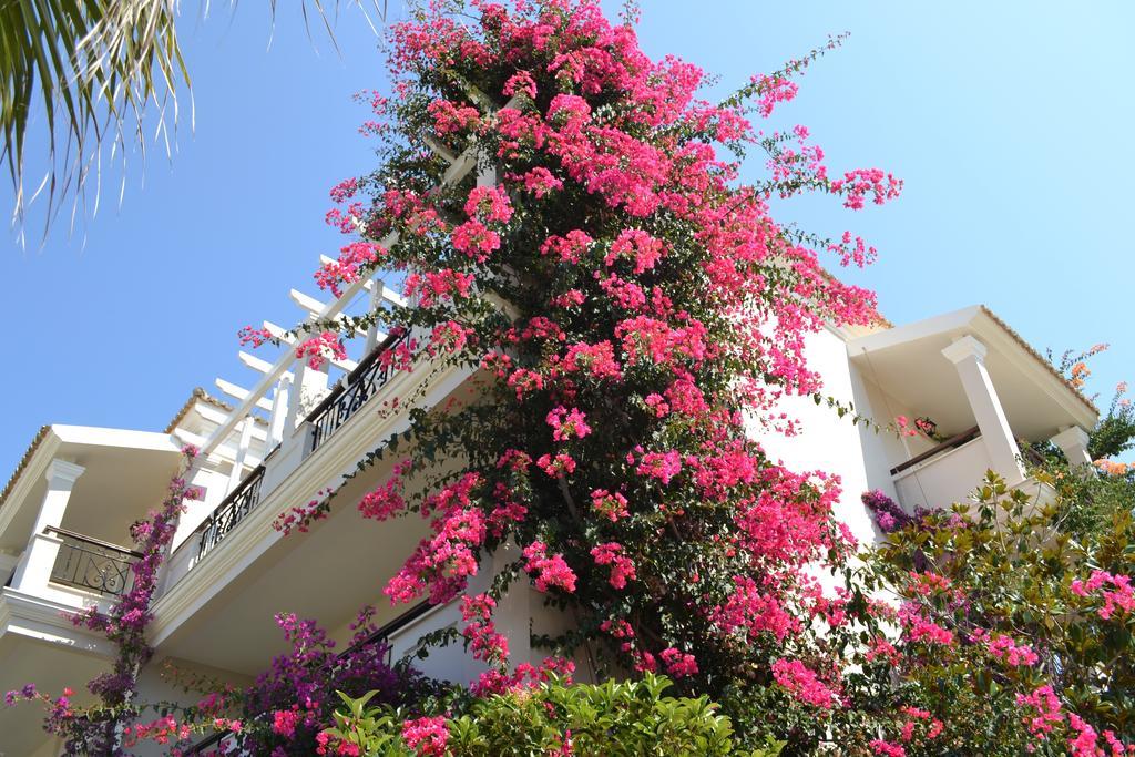 איוס סטפנוס Delfino Blu Wellness Boutique Hotel מראה חיצוני תמונה